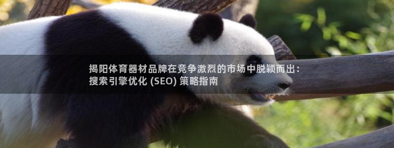 富联平台孩7O777：揭阳体育器材品牌在竞争激烈的市