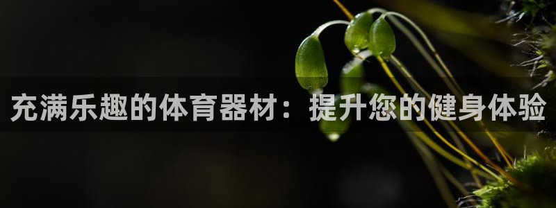 富联娱乐官方网站下载安卓：充满乐趣的体育器材：提升您