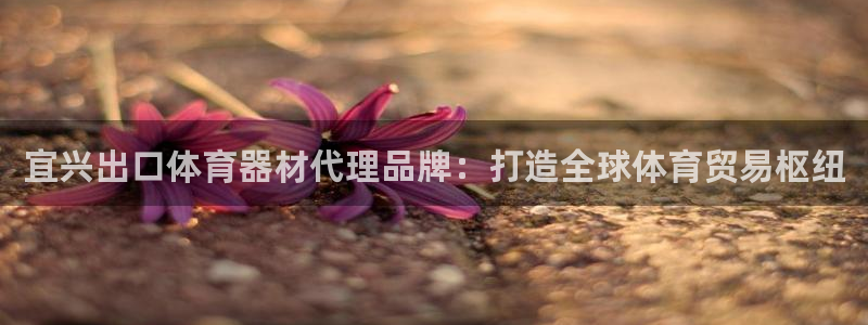 富联平台总代理是谁：宜兴出口体育器材代理品牌：打造全