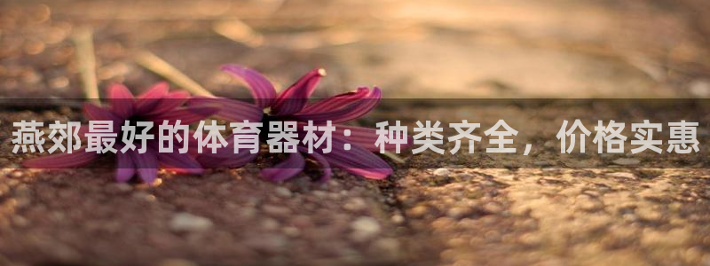 香港富联国际集团：燕郊最好的体育器材：种类齐全，价格