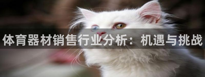 富联集团董事长：体育器材销售行业分析：机遇与挑战