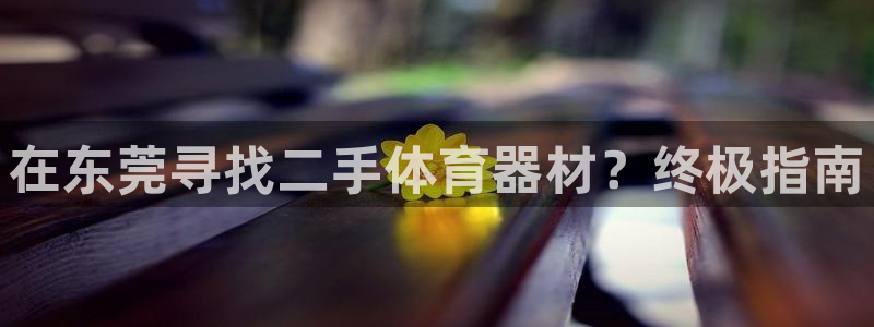 富联娱乐服务站电话：在东莞寻找二手体育器材？终极指南