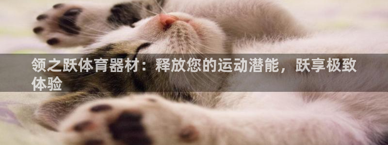 富联平台招 37oo735：领之跃体育器材：释放您的