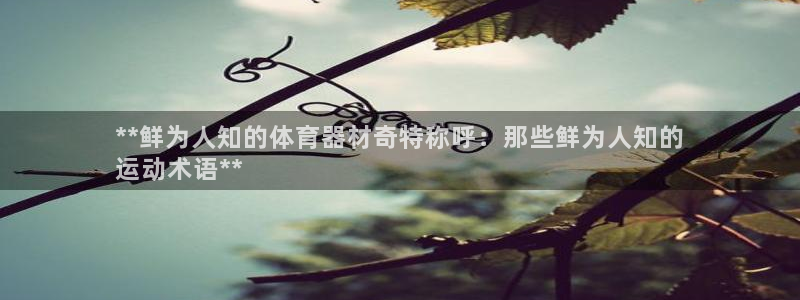 富联平台官网下载：**鲜为人知的体育器材奇特称呼：那