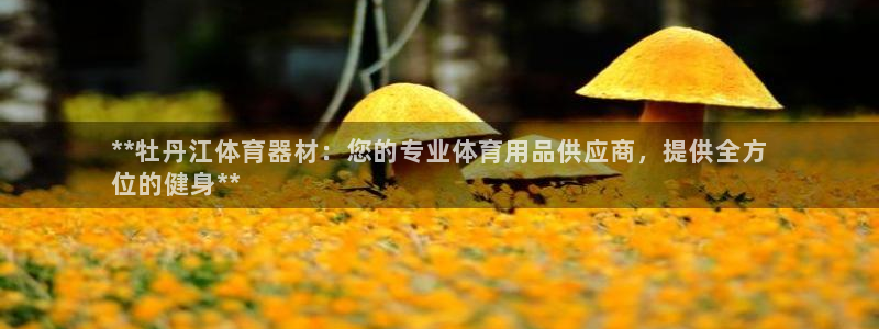 富联工坊：**牡丹江体育器材：您的专业体育用品供应商，提供全