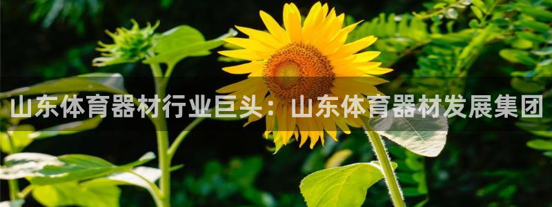 富联官方网站首页登录网址：山东体育器材行业巨头：山东