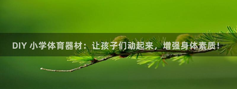 富联娱乐会员怎么取消：DIY 小学体育器材：让孩子们