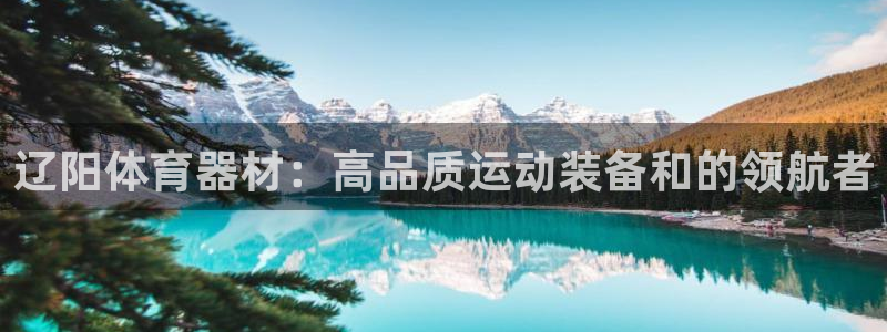 富联娱乐在线注册链接是什么：辽阳体育器材：高品质运动装备和的