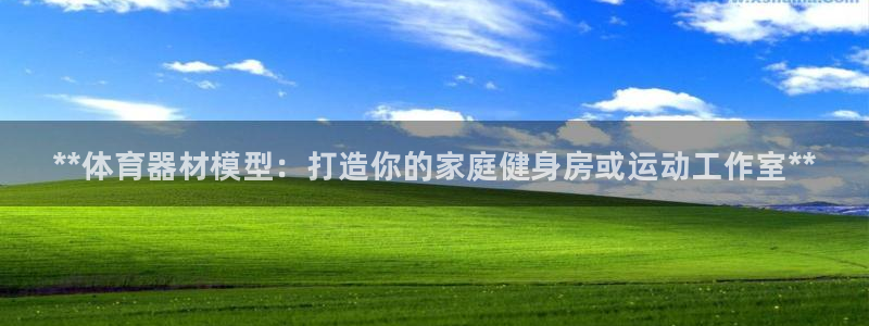 富联平台娱乐：**体育器材模型：打造你的家庭健身房或