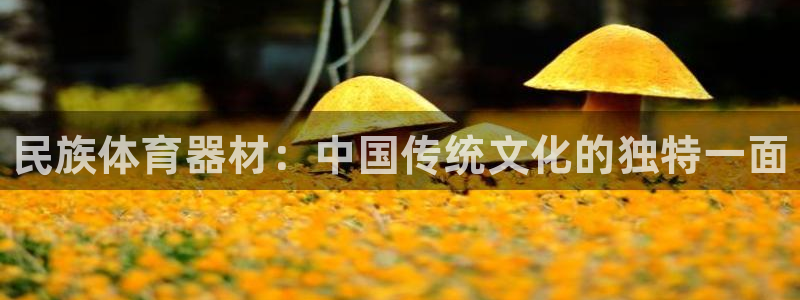 富联官网登陆网址：民族体育器材：中国传统文化的独特一