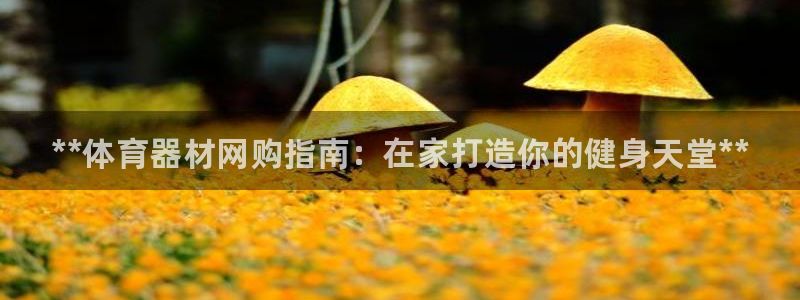富联娱乐客户端app下载服务：**体育器材网购指南：在家打造