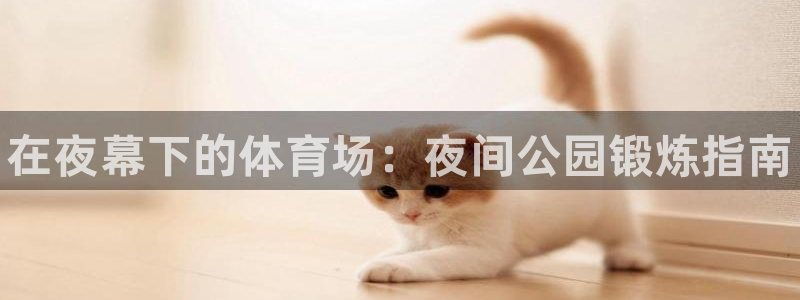 富联娱乐平台开户流程：在夜幕下的体育场：夜间公园锻炼指南