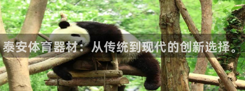 富联娱乐客户端app下载服务器错误：泰安体育器材：从传统到现