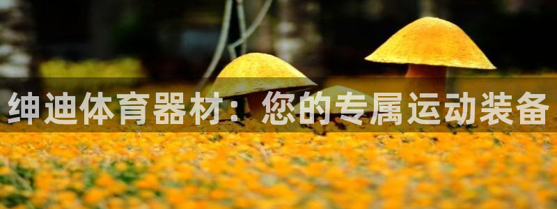 富联平台招商怎么样：绅迪体育器材：您的专属运动装备