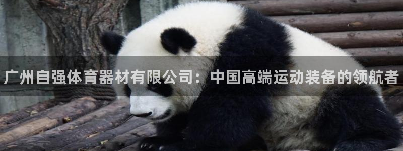 富联金融：广州自强体育器材有限公司：中国高端运动装备