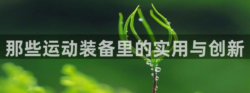 富联平台地址查询：那些运动装备里的实用与创新