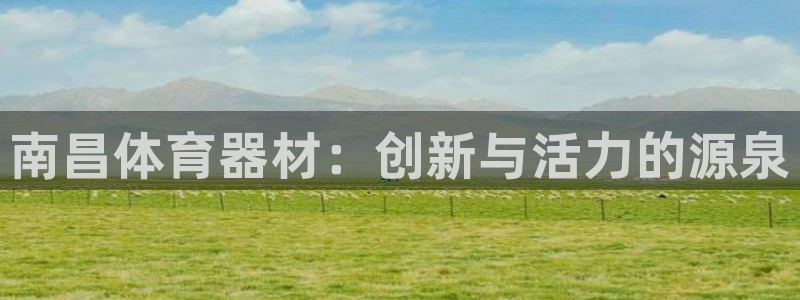 富联娱乐是什么时候开的股票：南昌体育器材：创新与活力的源泉