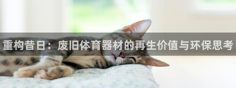 富联平台客 37oo735：重构昔日：废旧体育器材的