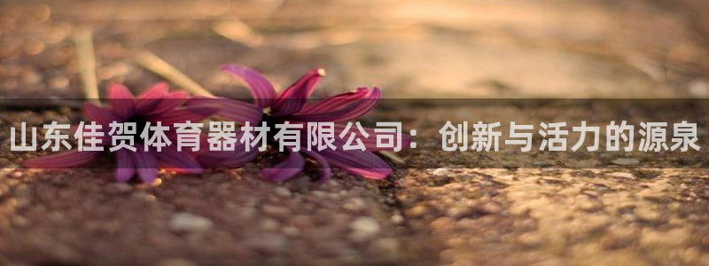 富联娱乐登录地址查询：山东佳贺体育器材有限公司：创新与活力的