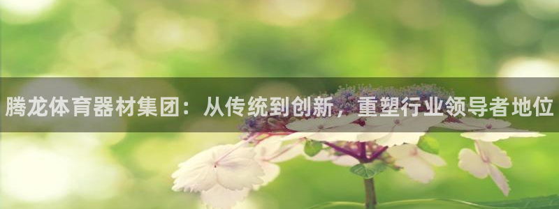富联平台飞 411o31 富联：腾龙体育器材集团：从传统到创